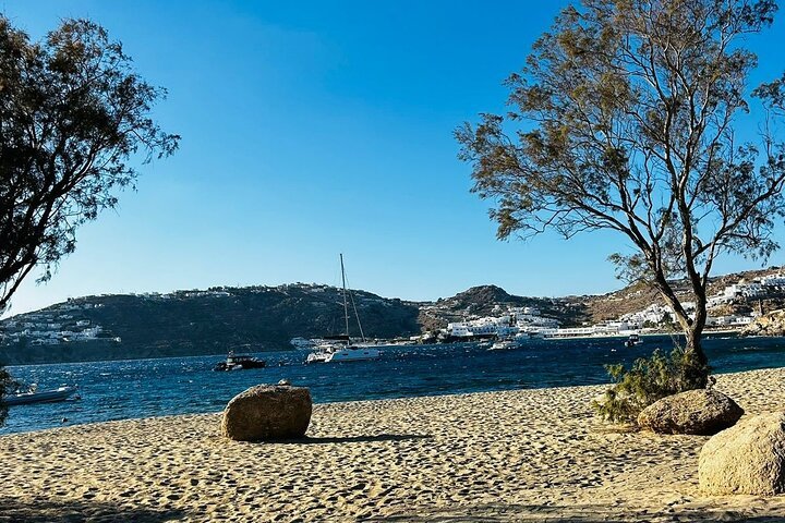 3-Hour Private Mykonos Highlights Tour - Image 4